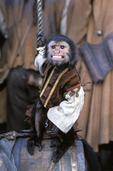pirates of the caribbean monkey.